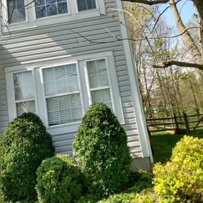 Bush Trimming by Macs LawnCare reviewed on April 30, 2022