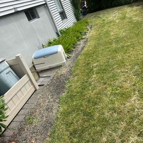Bush Trimming by Discount Mowing reviewed on July 13, 2022