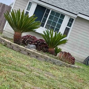 Flower Bed Weeding by Trash Cupid Rental reviewed on July 25, 2022