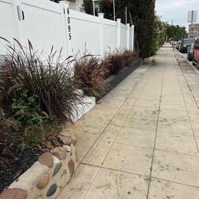 Cleanups by Devout Landscape reviewed on May 9, 2025