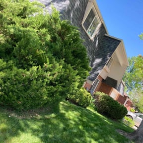 Bush Trimming by Backbreakers LLC reviewed on May 8, 2025