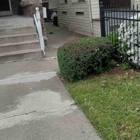 Bush Trimming by Lampkin Lawn & More reviewed on September 4, 2021