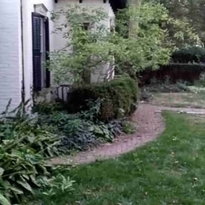 Bush Trimming by LOCAL Landscaping & Lawn Maintenance reviewed on October 11, 2022