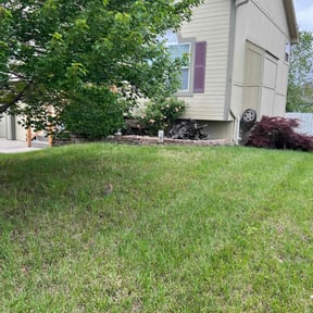 Flower Bed Weeding by Carolina Customs LLC reviewed on July 18, 2022