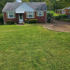 Bush Trimming by Integrity Lawns LLC reviewed on July 8, 2025