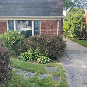 Bush Trimming by Cascadia Landscaping reviewed on April 7, 2022