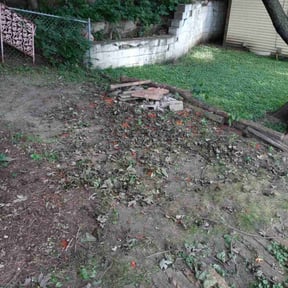 Cleanups by Sandrez lawn care service reviewed on March 10, 2025