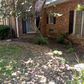 Cleanups by Essential Landscaping reviewed on May 21, 2022