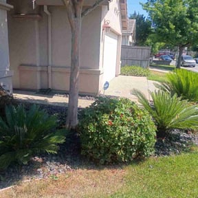 Bush Trimming by Schlener Lawn Care reviewed on June 18, 2022