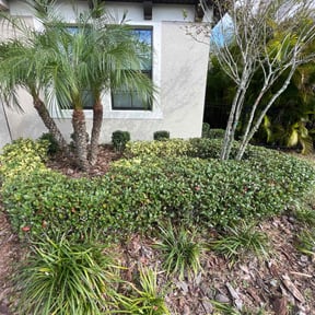 Bush Trimming by Loop's Landscaping reviewed on May 13, 2022