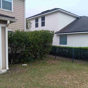 Bush Trimming by New leaf Landscaping reviewed on November 4, 2021