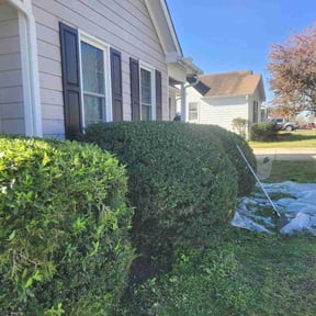 Bush Trimming by Bc lawncare reviewed on May 3, 2022