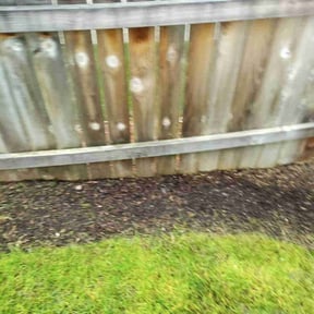 Cleanups by Rickys lawn care reviewed on October 7, 2022