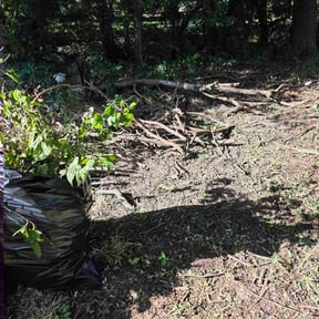 Cleanups by Johnson lawn services reviewed on March 3, 2025