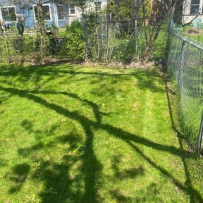 Leaf Removal by Premium Design Landscaping Inc reviewed on April 29, 2022