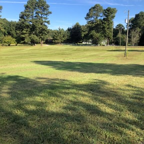 Cleanups by Fairwood Landscape reviewed on June 15, 2022
