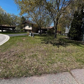 Leaf Removal by Brenden Bamberger (Ground Effects) reviewed on May 19, 2022
