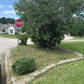 Bush Trimming by Summerall lawn service reviewed on August 4, 2022