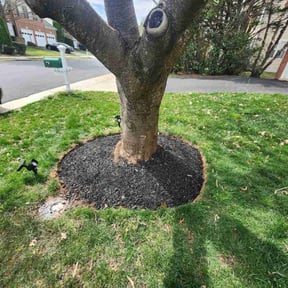 Weeding by King of Lawn Care LLC reviewed on April 3, 2022