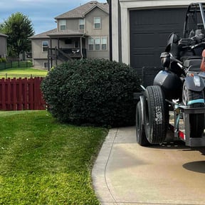 Bush Trimming by Daniel's lawn care service LLC reviewed on July 15, 2022