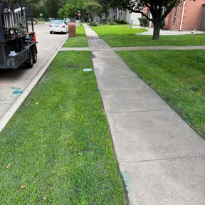 Weeding by Matt's Lawn Mowing reviewed on June 30, 2022