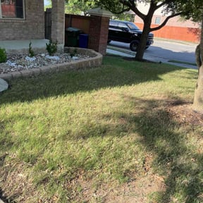 Leaf Removal by Puro Ponle Landscaping reviewed on April 29, 2022