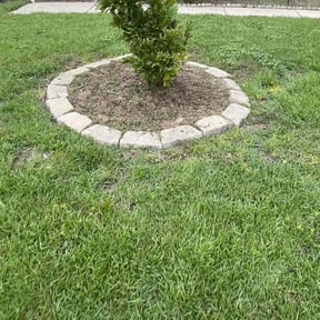 Flower Bed Weeding by Sumner Property Management reviewed on June 30, 2025