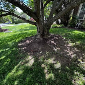 Flower Bed Weeding by Lawn services JAV reviewed on June 2, 2025