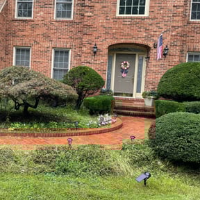 Bush Trimming by Seb’s Lawncare reviewed on July 3, 2022