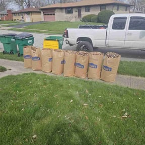 Leaf Removal by Greenland Landscaping and Tree Service reviewed on December 13, 2024