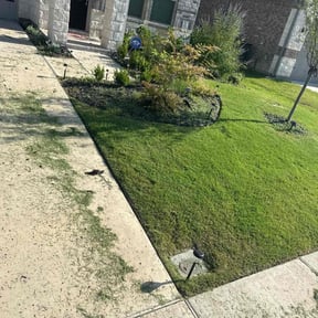 Cleanups by The lawn Guy reviewed on October 28, 2024