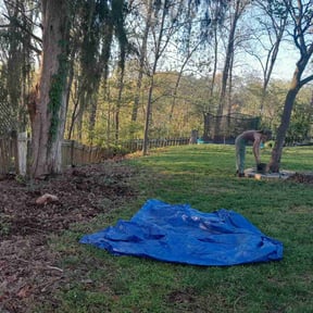 Cleanups by Surwillo Lawn &amp; Landscaping reviewed on September 17, 2024