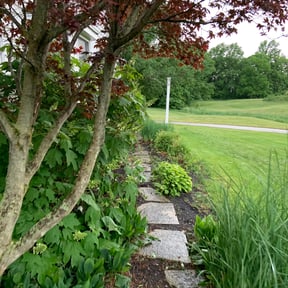 Bush Trimming by Azamar landscaping & construction reviewed on June 2, 2022