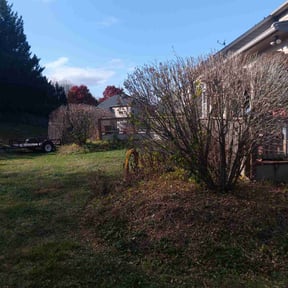 Bush Trimming by Lawn services JAV reviewed on June 2, 2025