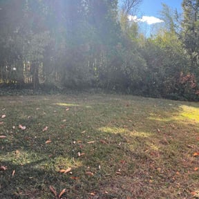 Leaf Removal by Zombie cutting team reviewed on June 14, 2022