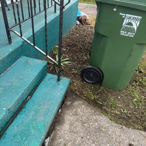 Cleanups by XPRESS LAWN CARE reviewed on October 8, 2020