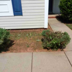 Flower Bed Weeding by Creative Lawn Cuts & Landscaping reviewed on August 4, 2025