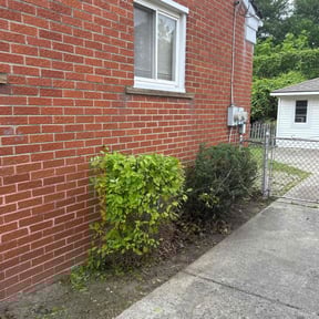 Bush Trimming by Pro Stripe Lawn Care, LLC reviewed on July 26, 2022