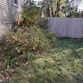 Bush Trimming by Denson's Total Lawn Care reviewed on August 5, 2022