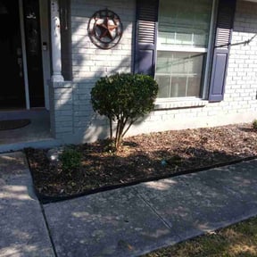 Bush Trimming by Clean Cut Lawn Service reviewed on August 9, 2025