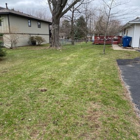 Cleanups by FRAMPTON'S LAWN SERVICE reviewed on June 6, 2022