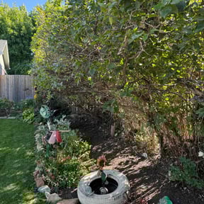 Flower Bed Weeding by Hernandez Family Lawn reviewed on June 13, 2025