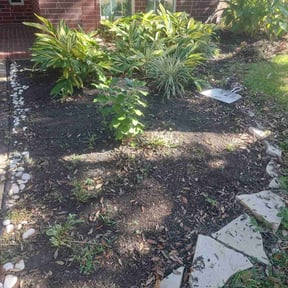 Flower Bed Weeding by Phelps Lawn Care reviewed on June 6, 2022