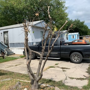 Bush Trimming by Emerald Lawns reviewed on February 28, 2025