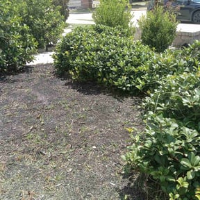 Weeding by KL MOWING SERVICE reviewed on May 8, 2025