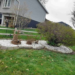 Bush Trimming by Empire Lawn Care & Tree Trimming reviewed on May 17, 2022