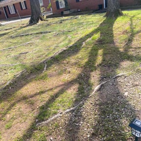 Leaf Removal by HPS Lawn Care reviewed on April 2, 2025