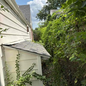 Cleanups by LSLTDallas/FortWorthTruGreen reviewed on July 10, 2025