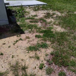 Cleanups by We Mow Omaha reviewed on July 20, 2022