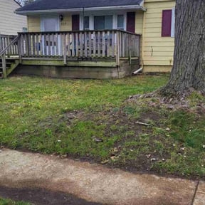 Leaf Removal by Montoya Maintenance Services reviewed on May 8, 2025